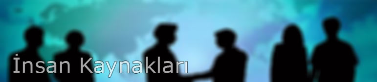 İnsan Kaynakaları
